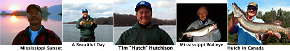 Photos of Hutch
